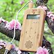 Bamboo Device - Music of the Plants